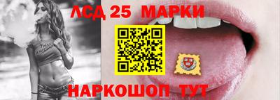 амф Кингисепп