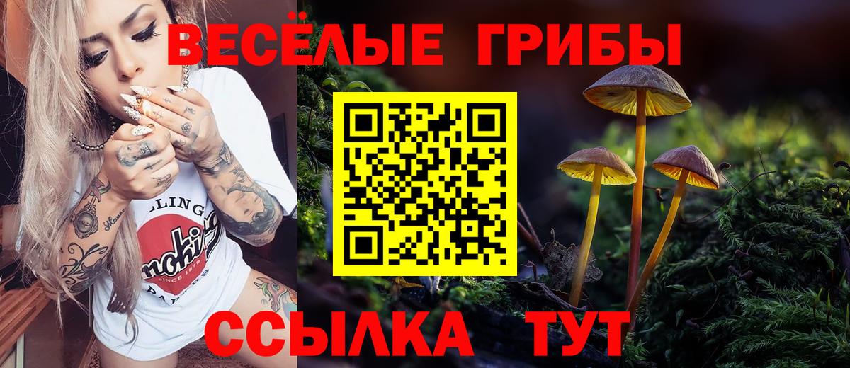 Галлюциногенные грибы MAGIC MUSHROOMS Карталы