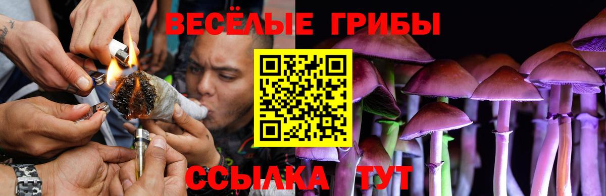 где можно купить наркотик  Псилоцибиновые грибы прущие грибы  Карталы  Вход с VPN  Псилоцибиновые грибы Psilocybine cubensis 